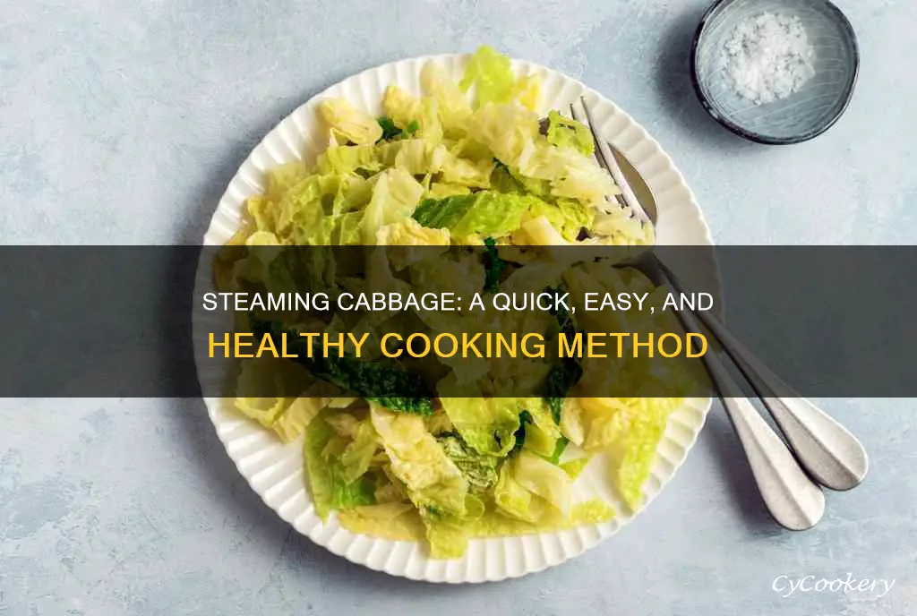 how to steam cook cabbage