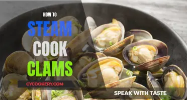 Steaming Clams: A Beginner's Guide to Perfect Results