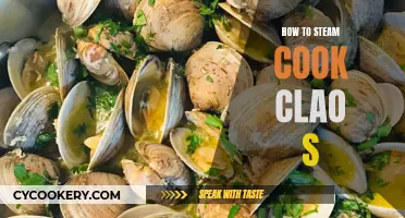 Steaming Delicious Clams: A Beginner's Guide to Perfection