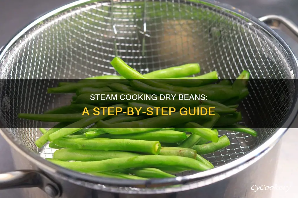 how to steam cook dry beans