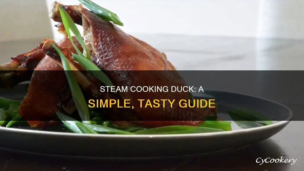 how to steam cook duck