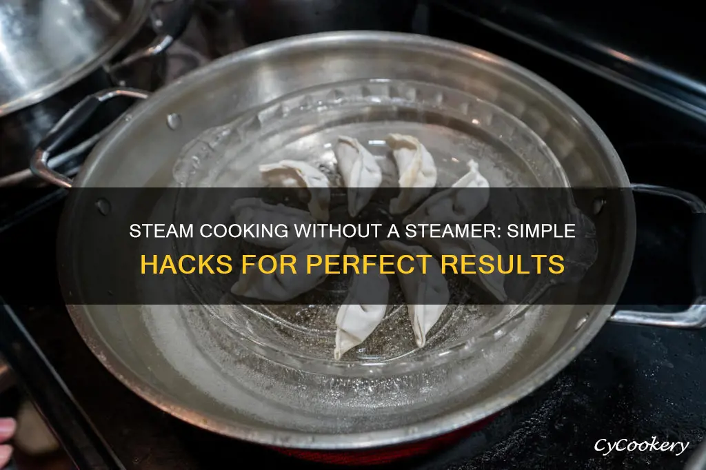 how to steam cook food without a steamer