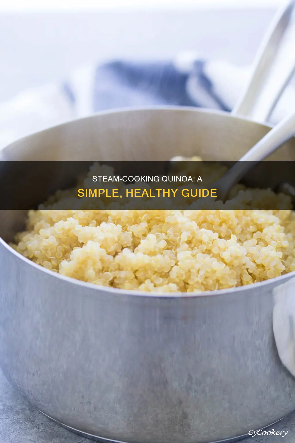 how to steam cook quinoa