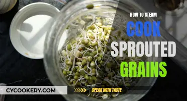 Steaming Sprouted Grains: A Healthy, Easy Cooking Method