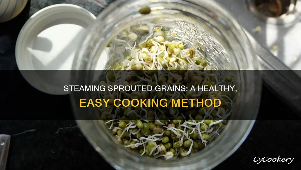 how to steam cook sprouted grains