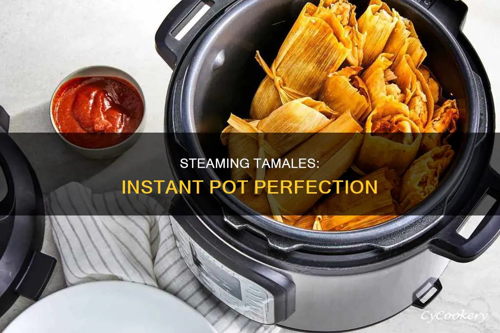 how to steam cook tamales in instant pot