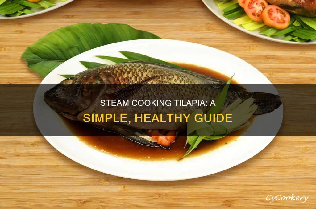 how to steam cook tilapia