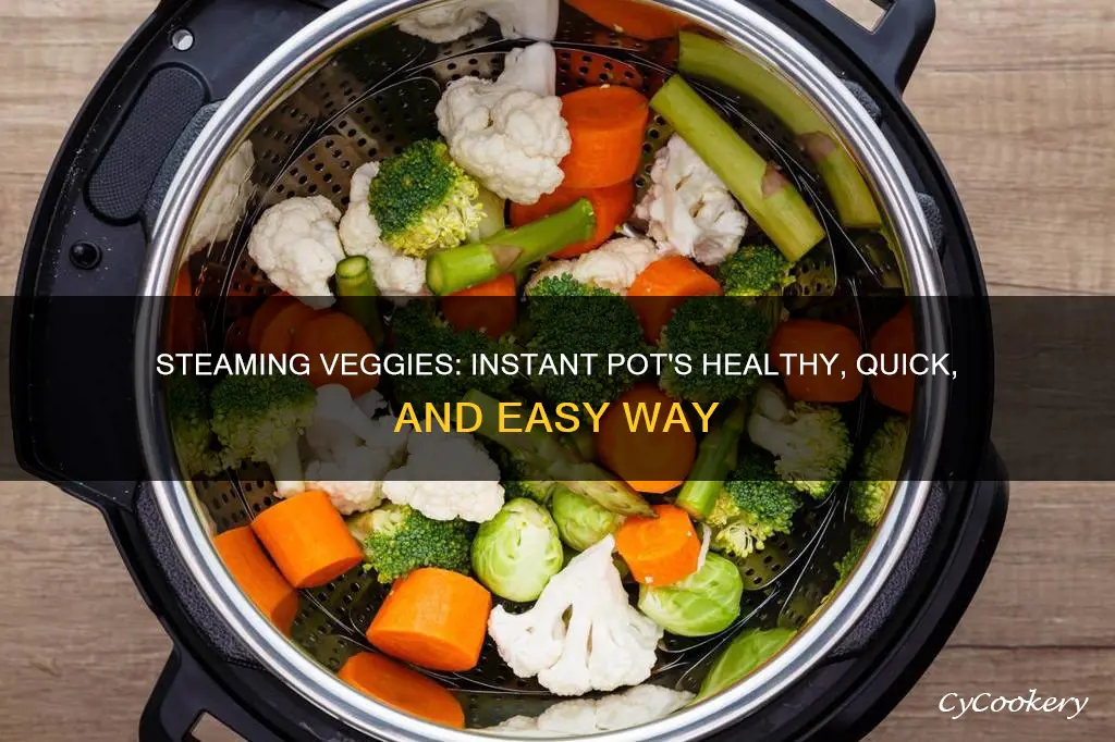 how to steam cook vegetables in instant pot