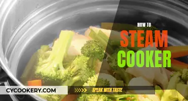 Steam Cooking Simplified: A Guide to Using Your Steamer