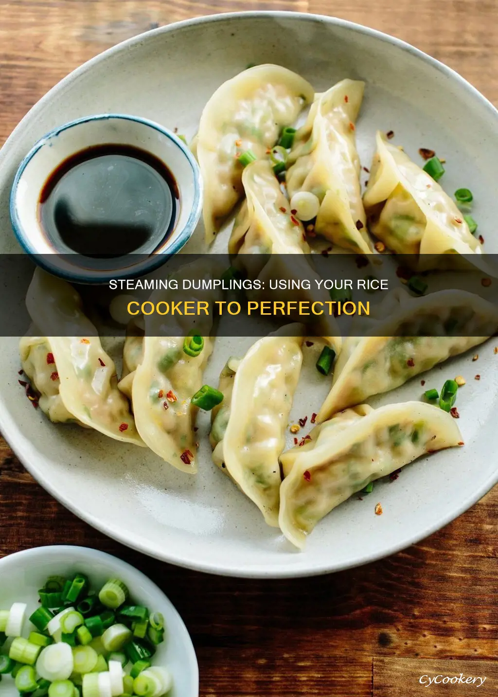 how to steam dumplings in a rice cooker