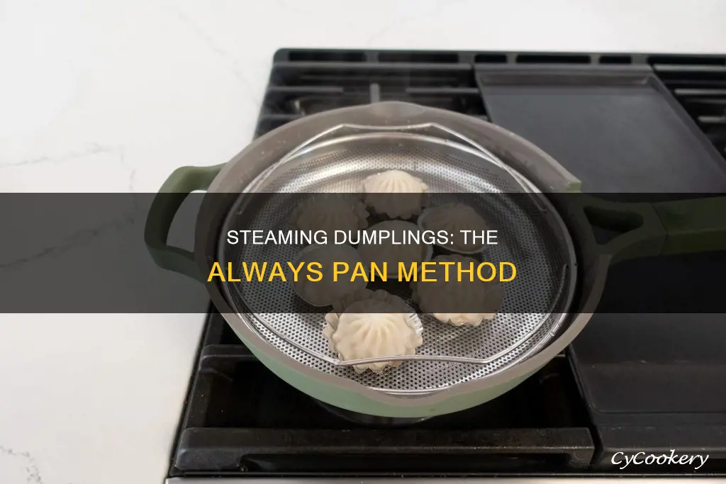 how to steam dumplings in always pan