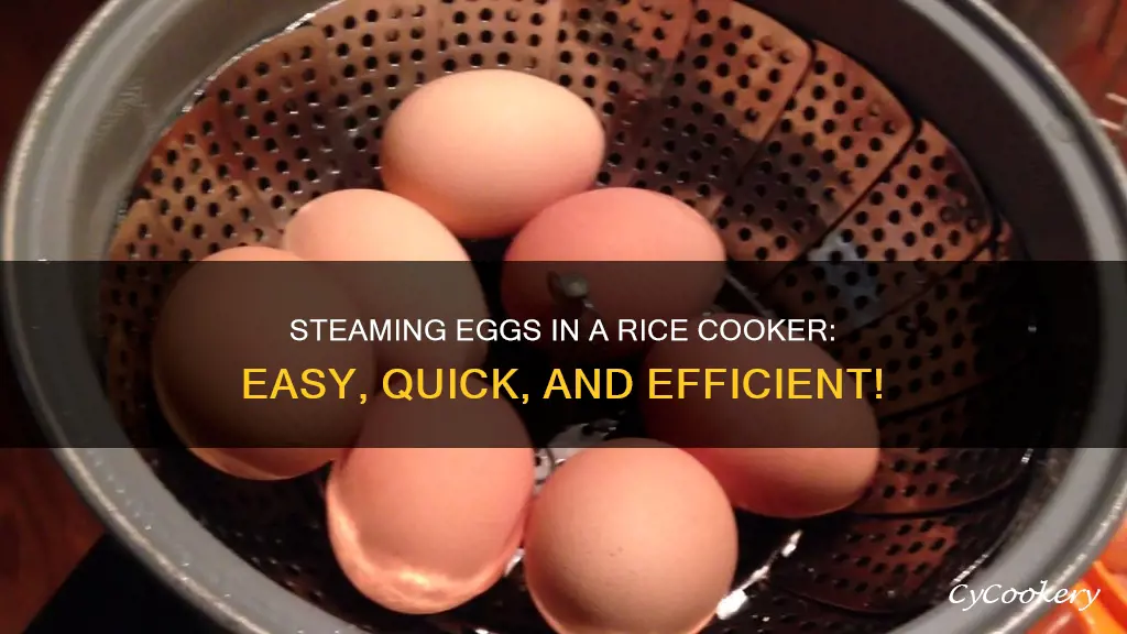 how to steam egg in rice cooker