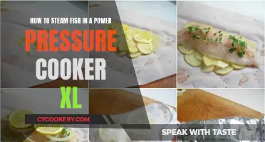 Steaming Fish: Power Pressure Cooker XL Style