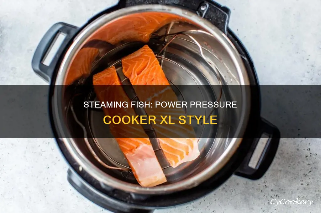 how to steam fish in a power pressure cooker xl