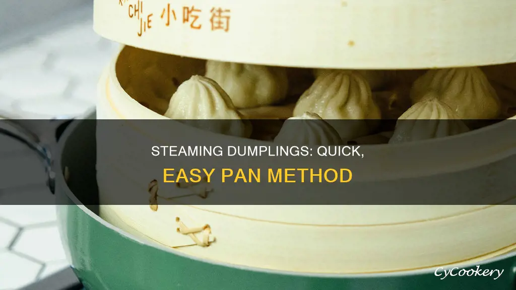 how to steam frozen dumplings in a pan