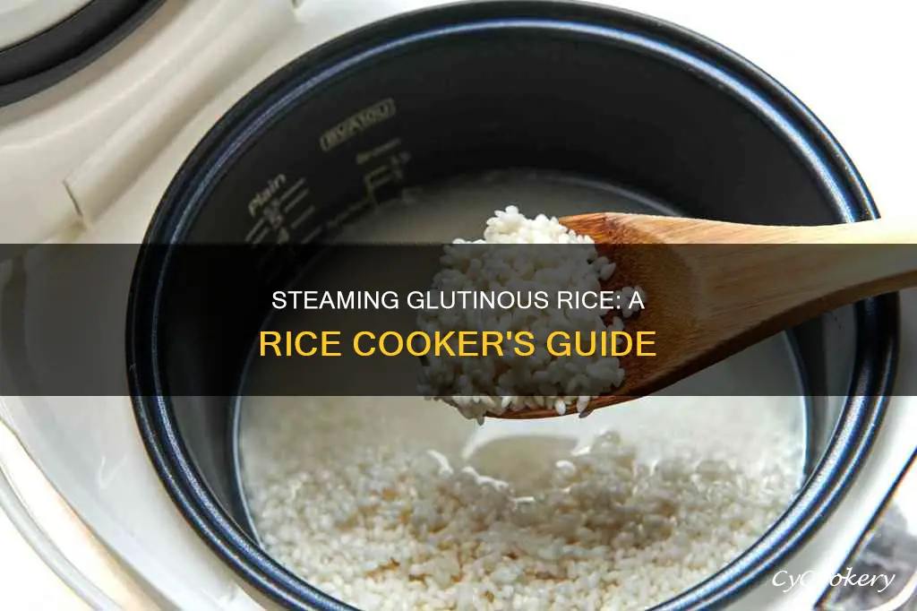 how to steam glutinous rice in rice cooker