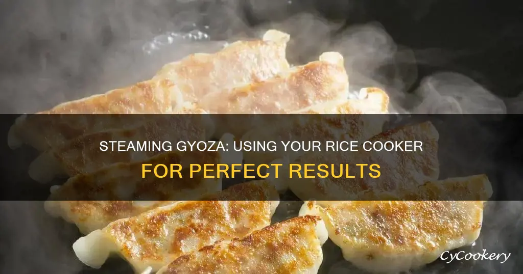 how to steam gyoza in a rice cooker