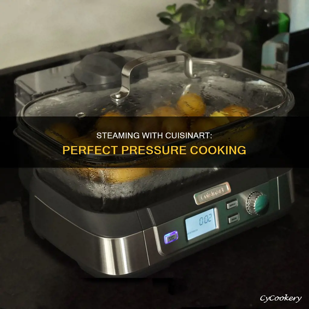 how to steam in a cuisinart pressure cooker