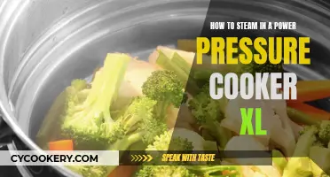 Steaming Simplified: Power Pressure Cooker XL Techniques