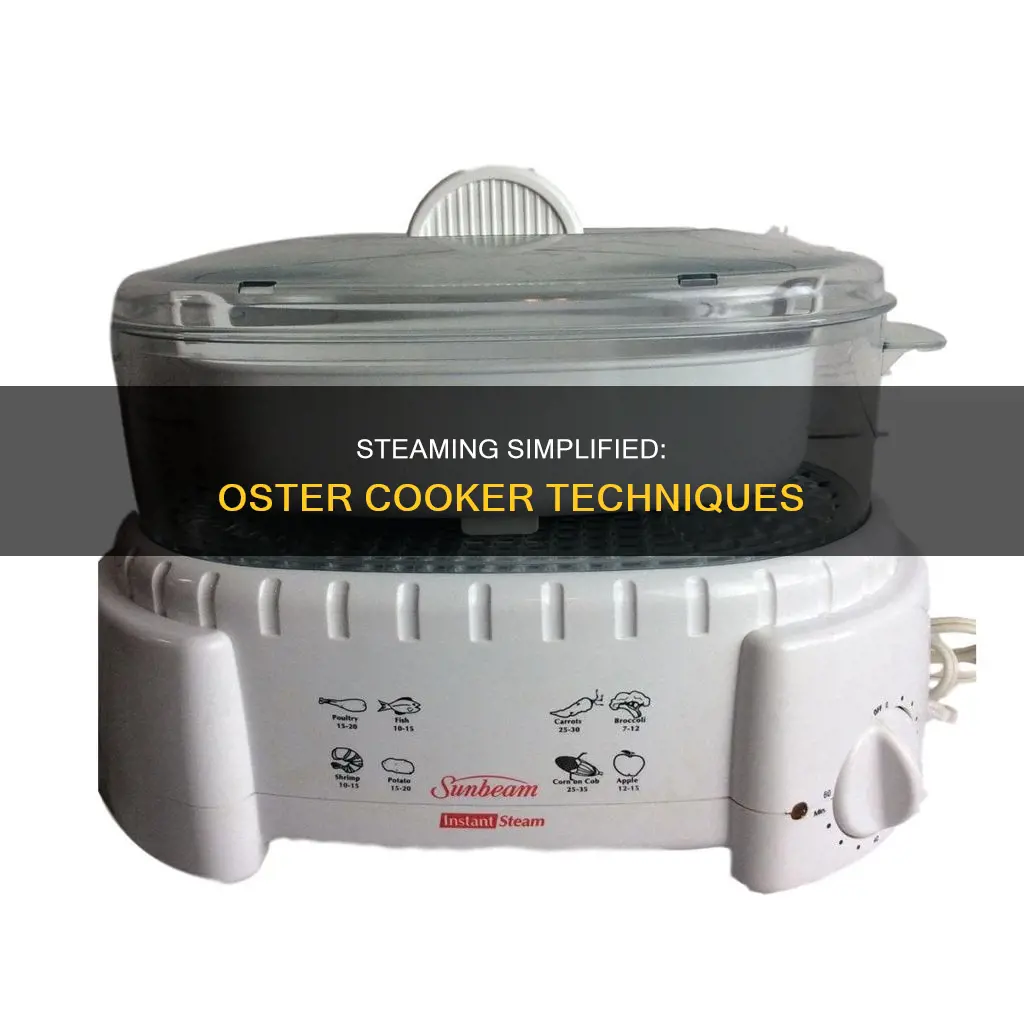 how to steam in an oster cooker