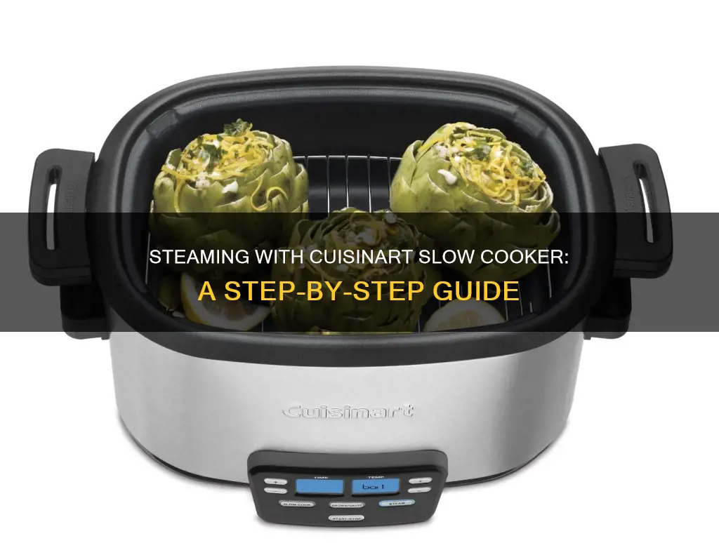 how to steam in cuisinart slow cooker