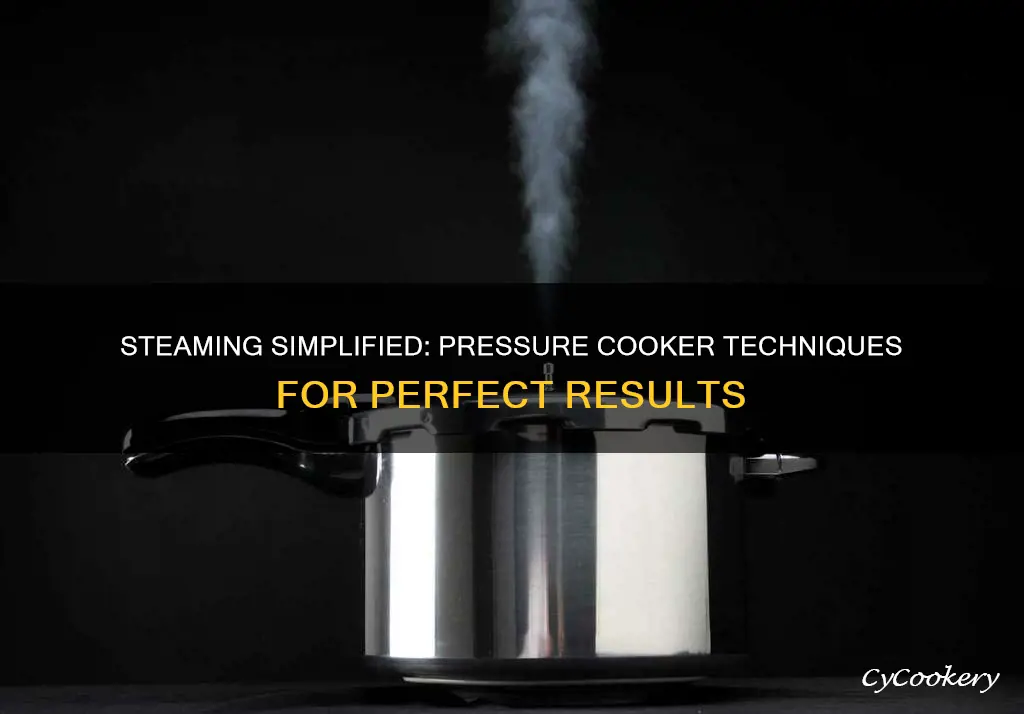 how to steam in pressure cooker