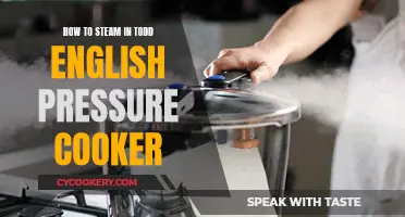 Steaming Simplified: Todd English Pressure Cooker Guide