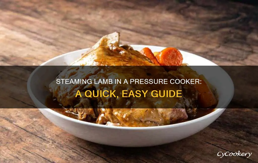 how to steam lamb in pressure cooker