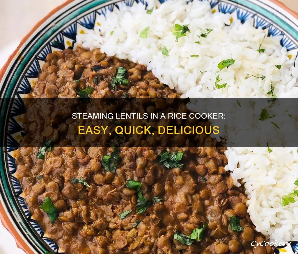 how to steam lentils in rice cooker