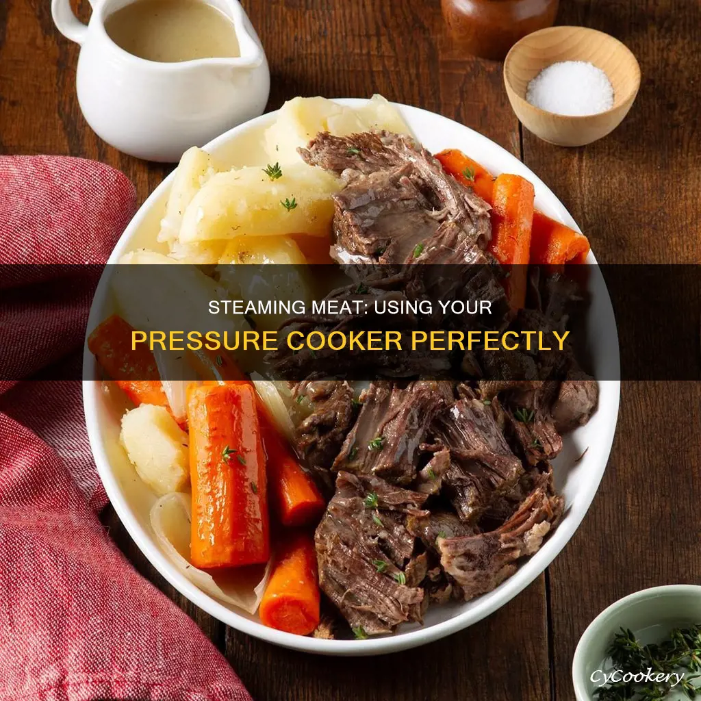 how to steam meat in pressure cooker