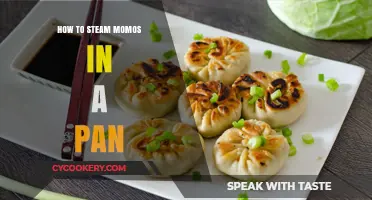 Steaming Momos: The Perfect Pan Method