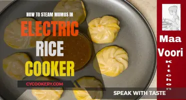 Steaming Momos: Electric Rice Cooker Method