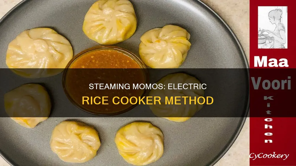 how to steam momos in electric rice cooker