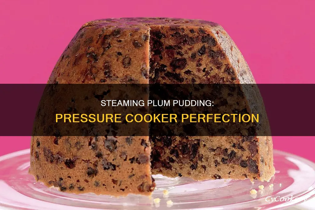 how to steam plum pudding in a pressure cooker