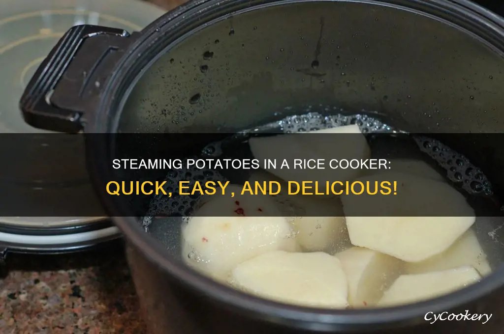 how to steam potato rice cooker