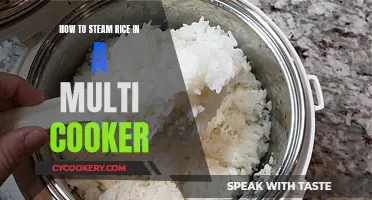 Steaming Rice Perfection with a Multi-Cooker