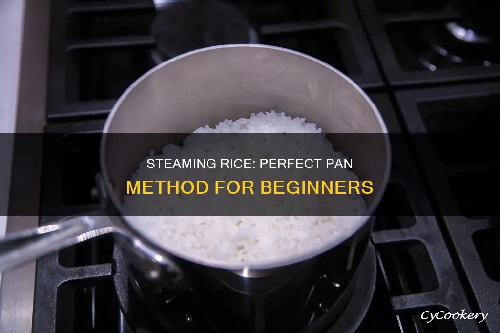 how to steam rice in a pan