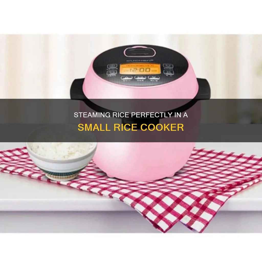 how to steam rice in ssmall rice cooker