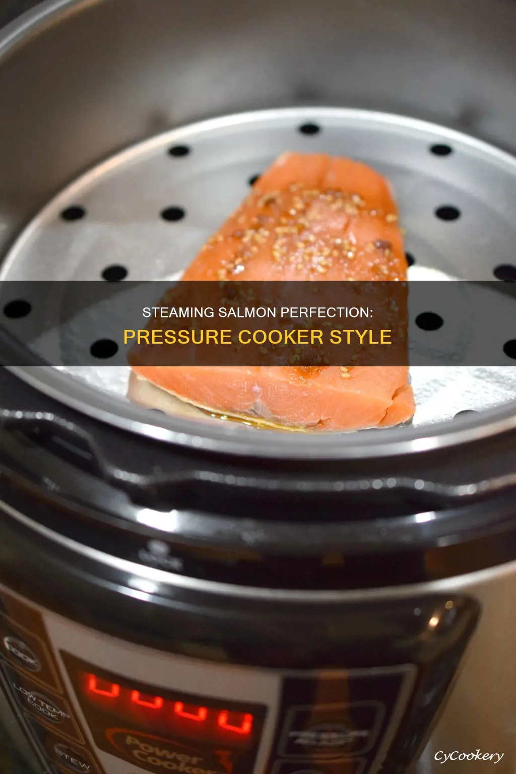 how to steam salmon in pressure cooker