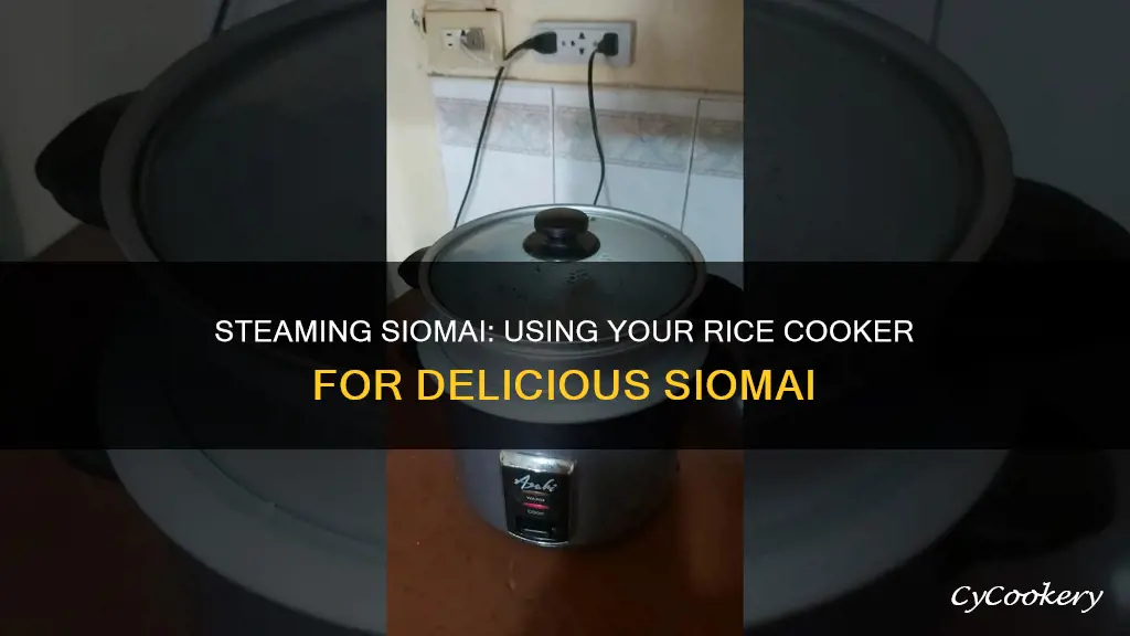 how to steam siomai in rice cooker