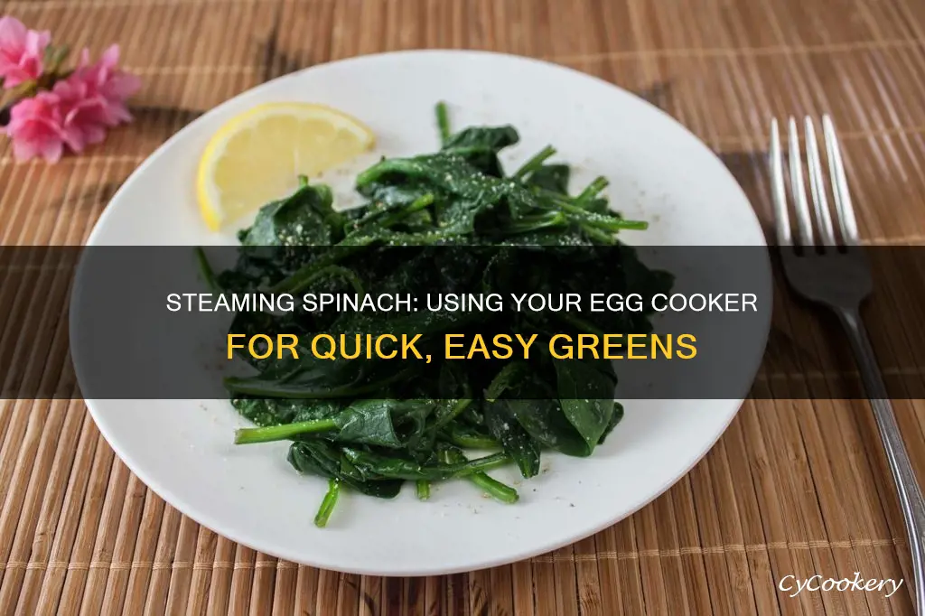 how to steam spinach in an egg cooker