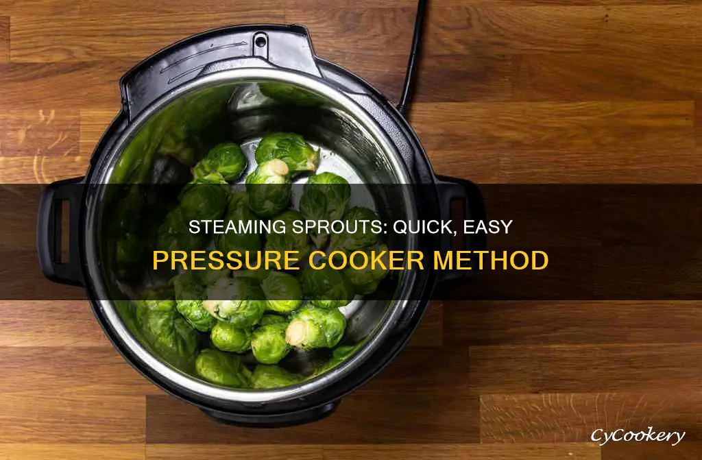 how to steam sprouts in pressure cooker