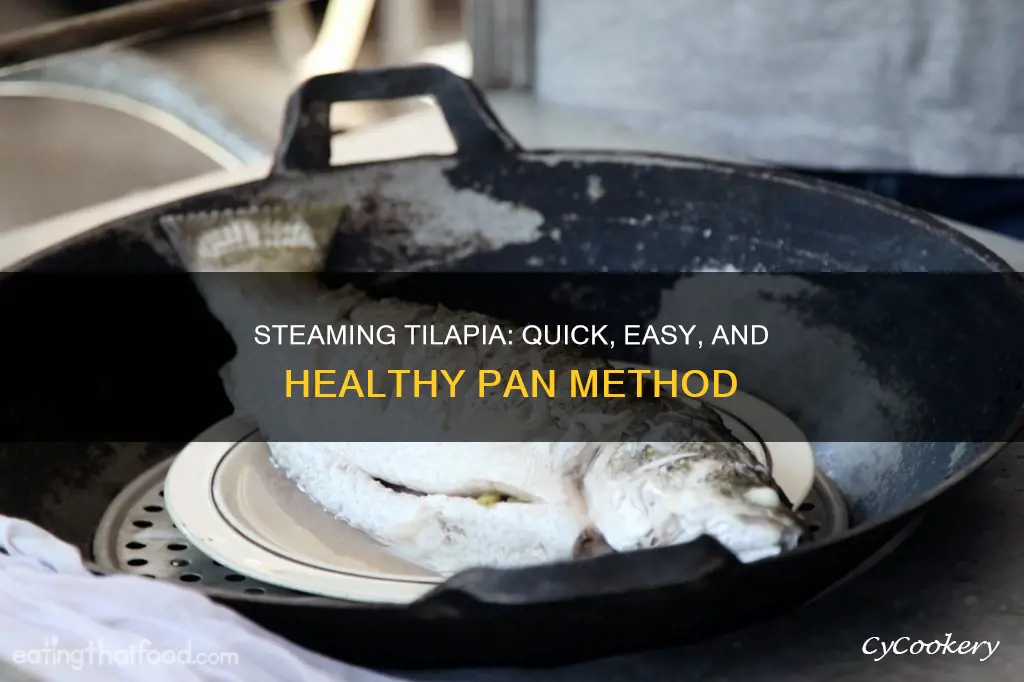 how to steam tilapia in a pan
