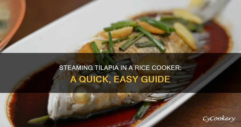 how to steam tilapia in a rice cooker