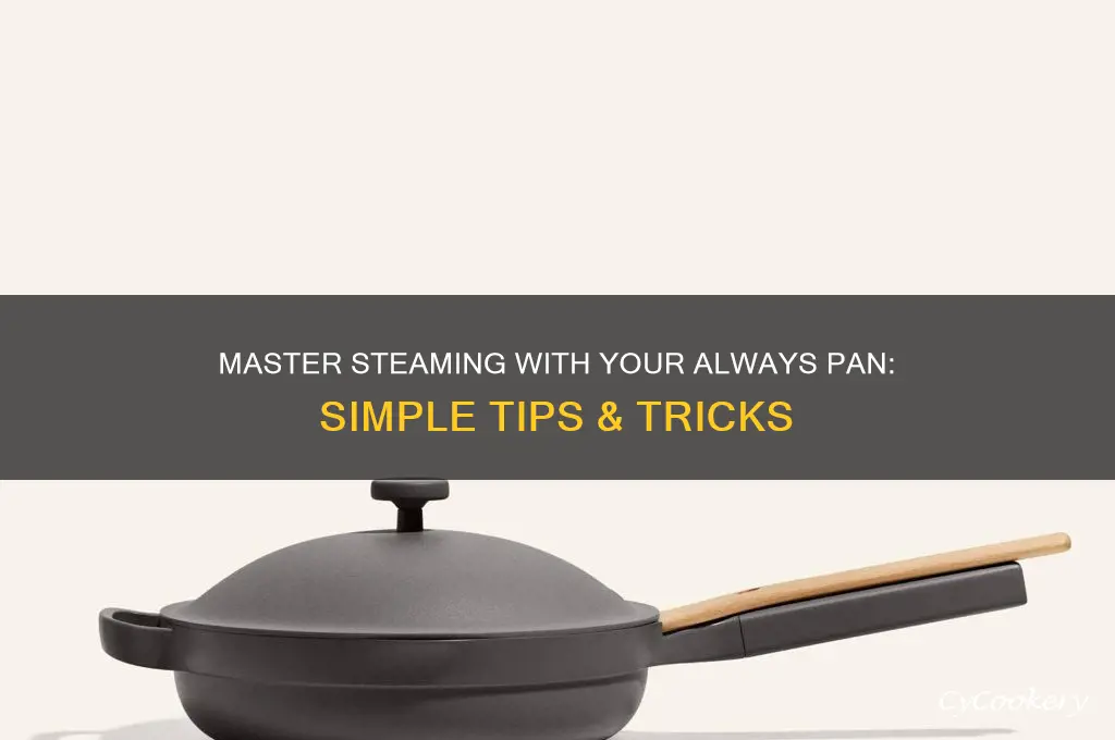 how to steam using always pan