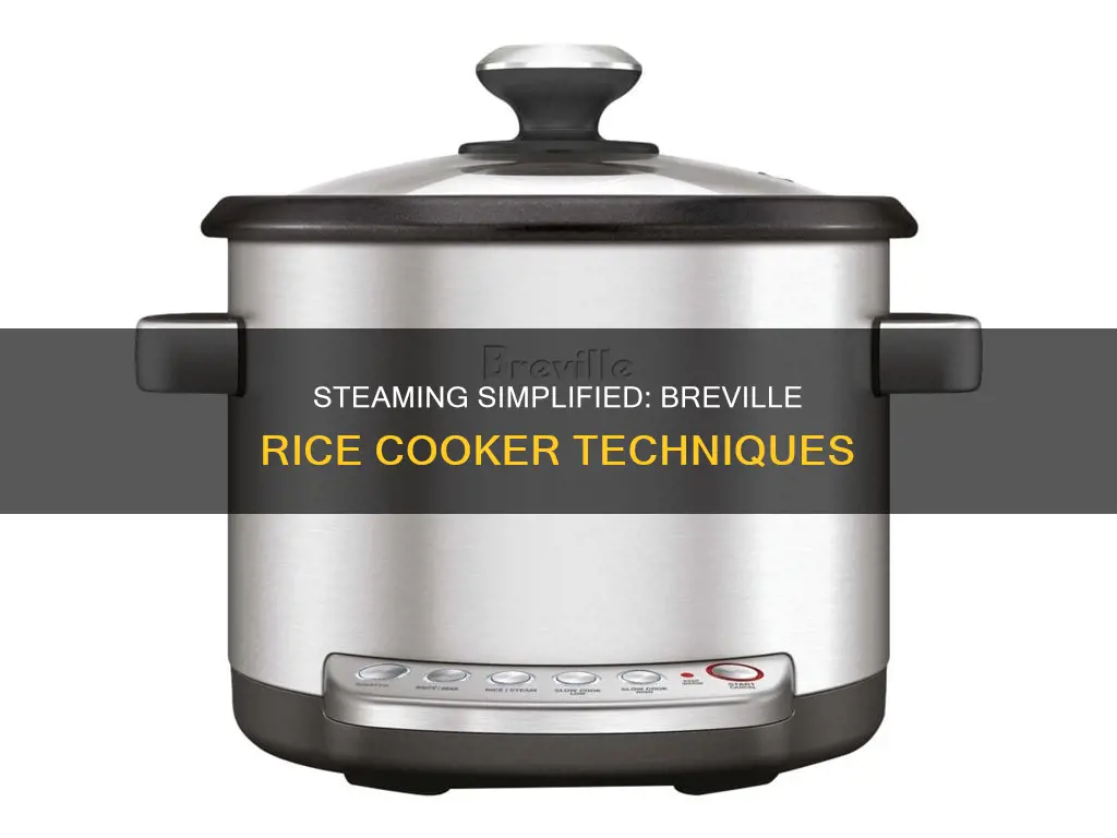 how to steam using breville rice cooker