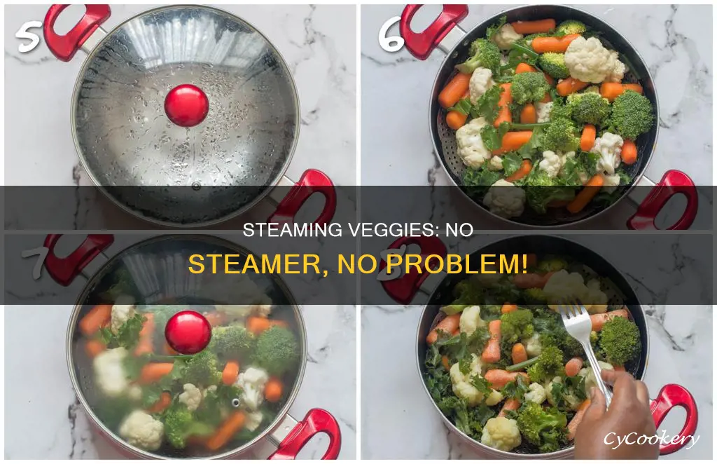 how to steam vegetables in a pan without a steamer
