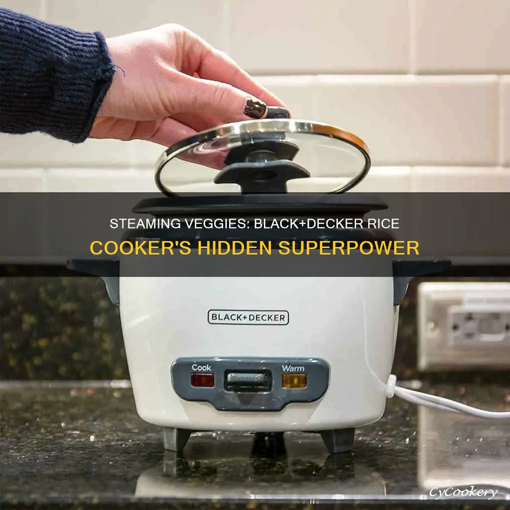 how to steam vegetables in black and decker rice cooker