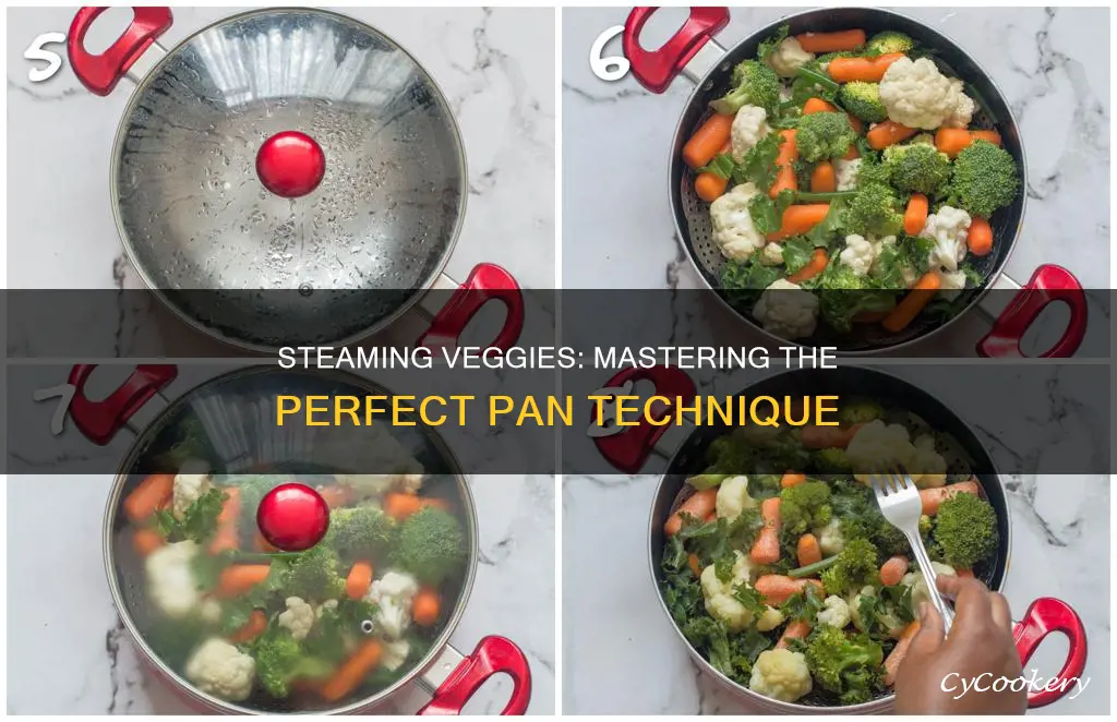 how to steam veggies in a pan