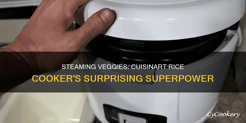 how to steam veggies in cuisinart rice cooker